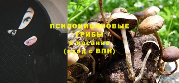 мескалин Волоколамск